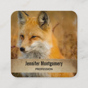 Cute Red Fox Wilderness Nature Photography Square  Business Card