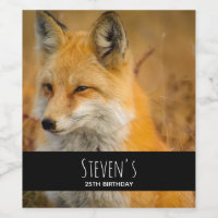 Cute Red Fox Wilderness Nature Photography
