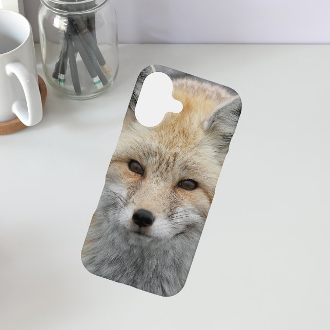 Cute Red Fox Wildlife Photo iPhone 16 Case (In Situ)