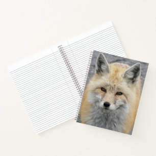Cute Red Fox Wildlife Photo Notebook