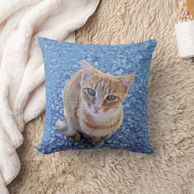 Cute red kitten on blue cushion (Blanket)