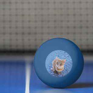 Cute red kitten ping pong ball