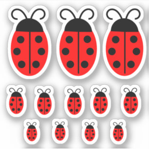 Cute Red Ladybug