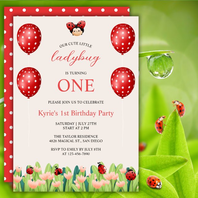 Cute Red Little Ladybug Girls 1st Birthday Theme Invitation (Creator Uploaded)
