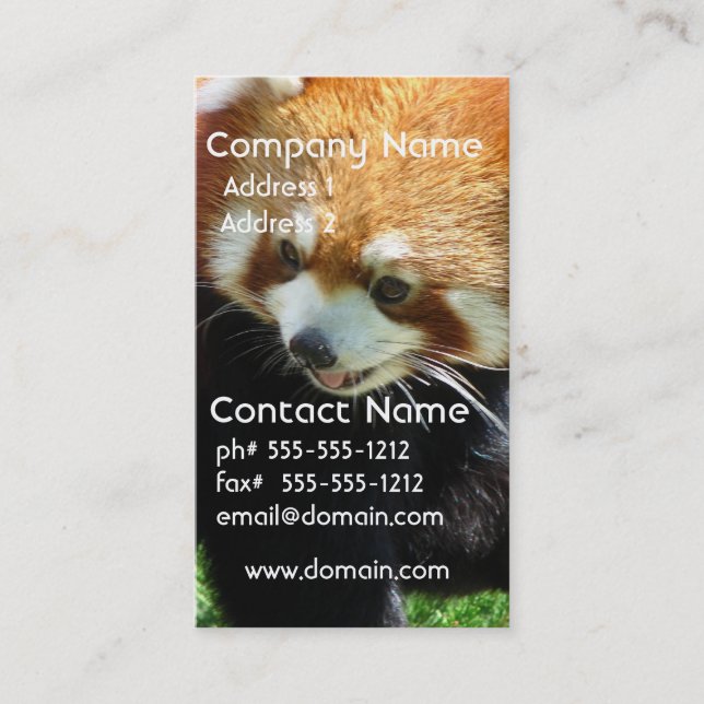 Cute Red Panda Bear Business Card (Front)