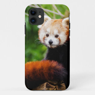 Cute Red Panda Bear iPhone 11 Case