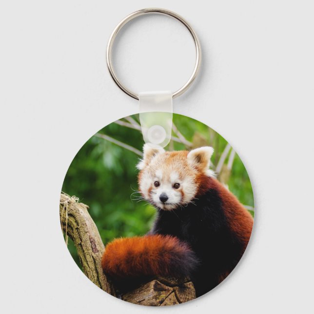 Cute Red Panda Bear Key Ring (Front)
