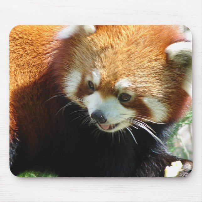 Cute Red Panda Bear Mouse Pad (Front)