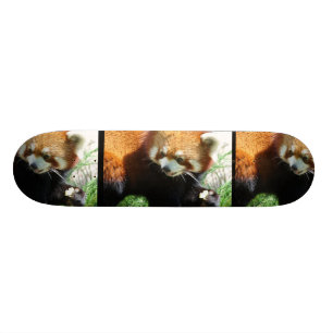 Cute Red Panda Bear Skateboard