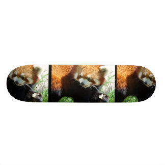 Cute Red Panda Bear Skateboard