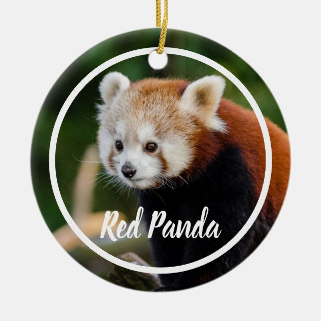 Cute Red Panda Frame Ceramic Tree Decoration (Front)