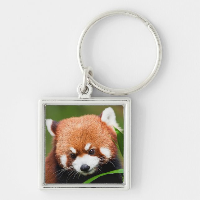 Cute Red Panda Key Ring (Front)