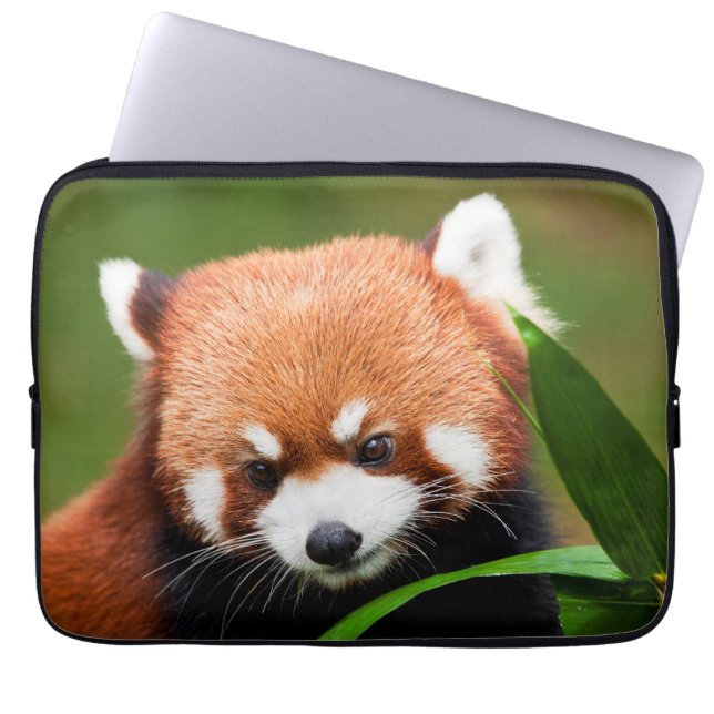 Cute Red Panda Laptop Sleeve (Front)