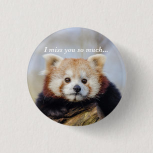 Cute Red Panda Miss You So Much  3 Cm Round Badge