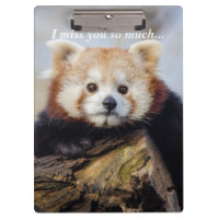 Cute Red Panda Miss You So Much