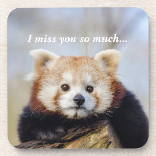 Cute Red Panda Miss You So Much  Coaster