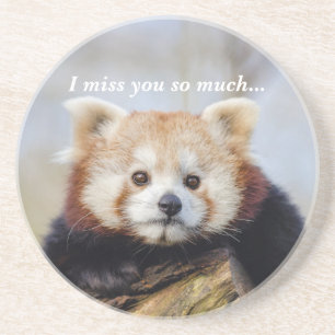 Cute Red Panda Miss You So Much  Coaster