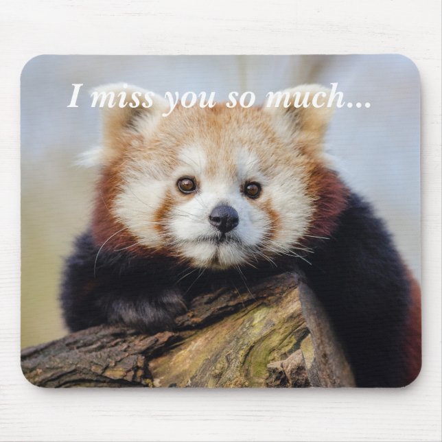 Cute Red Panda Miss You So Much  Mouse Pad (Front)