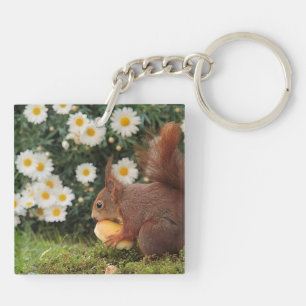 Cute Red Squirrel and Daisies Key Ring