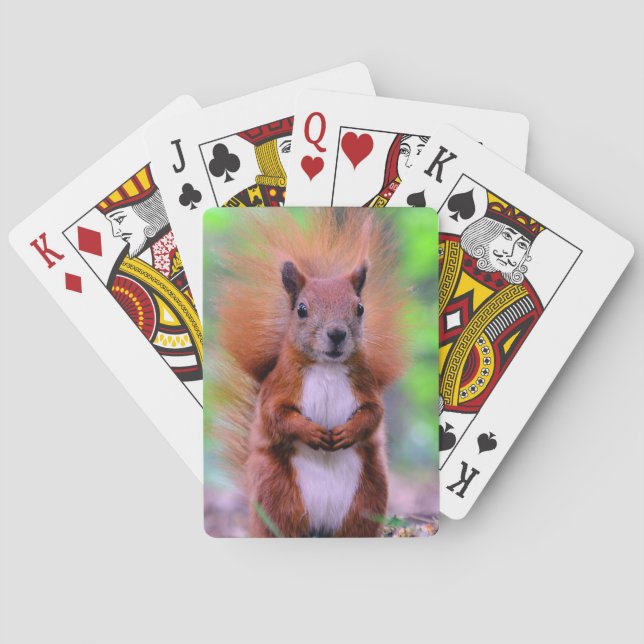 Cute Red Squirrel Photograph Playing Cards (Back)