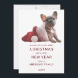 Cute Red White French Bulldog Santa Hat Christmas Holiday Card<br><div class="desc">This cute and artsy Christmas holiday greeting card is perfect to set the festive vibe for your special event. It features a hand-painted gray and white french bulldog inside a white and red Santa hat on top of a simple white background. On the back is a pattern featuring this cute...</div>