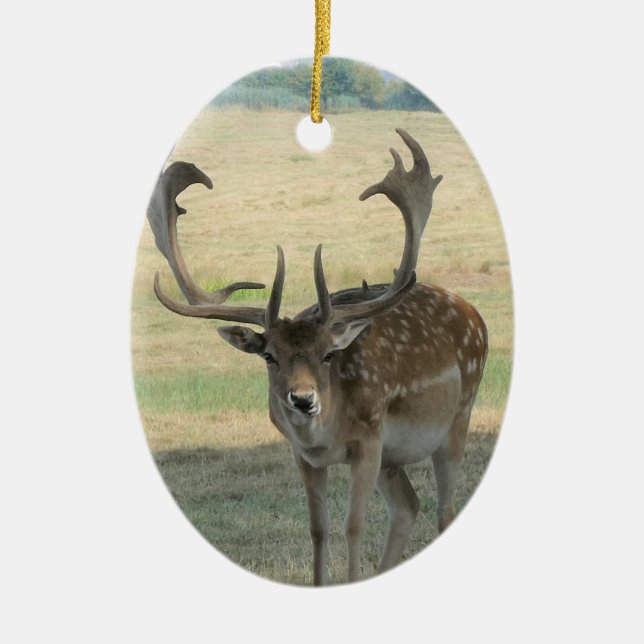 Cute Reindeer Ceramic Tree Decoration (Front)