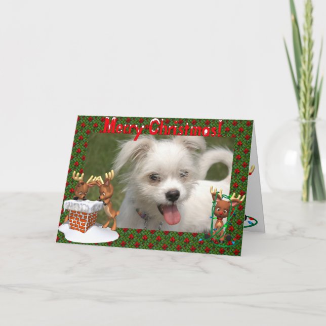 Cute Reindeer  Photo Frame Christmas Card (Front)