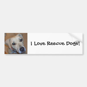 Cute Rescue Dog Bumper Sticker
