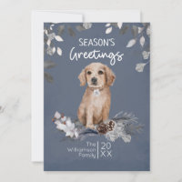Cute Retriever Puppy Season's Greetings