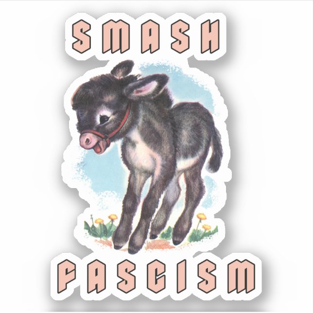 Cute Retro Donkey- Smash Fascism (Front)