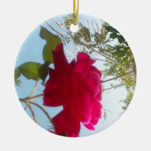 Cute Retro Hakuna Matata Gift Blue Red  Green SKY  Ceramic Tree Decoration