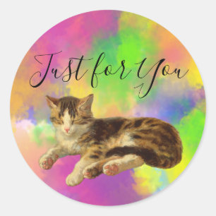 Cute Retro Kitty Cat Just for You Abstract Rainbow Classic Round Sticker
