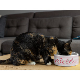 Cute Retro Pink Striped Cat Kitty Pet Name Food Bowl