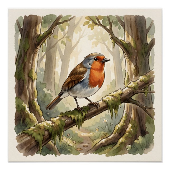 Cute robin bird in old forest poster (Front)