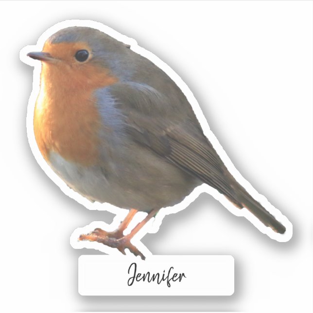 Cute Robin bird personalised custom cut (Front)