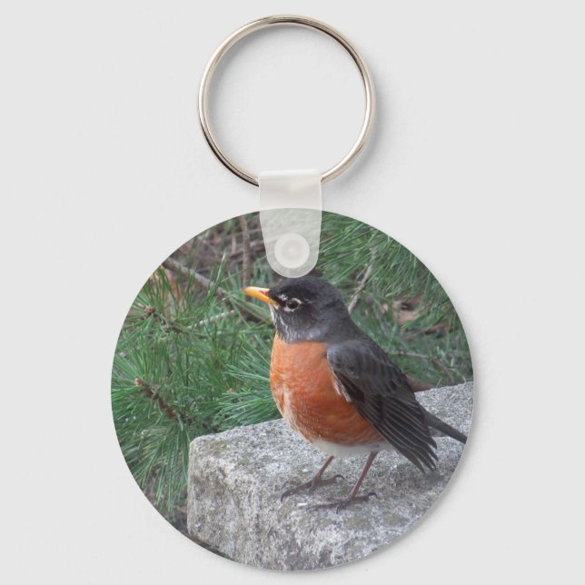 Cute Robin In Garden Photo Key Ring (Front)