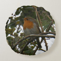 Cute Robin in the Park Round Pillow