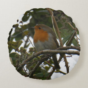 Cute Robin in the Park Round Pillow