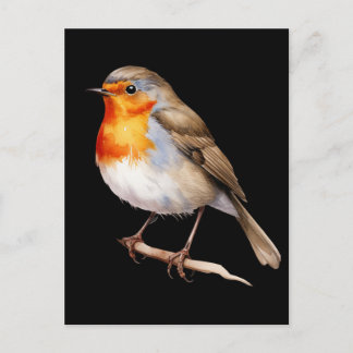 Cute Robin Postcard