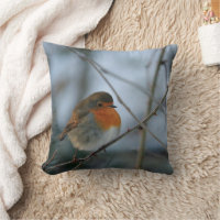 Cute Robin red breast bird photo