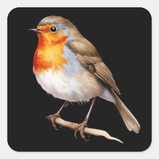 Cute Robin Square Sticker