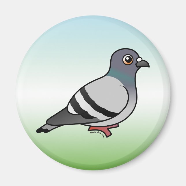 Cute Rock Pigeon Magnet (Front)