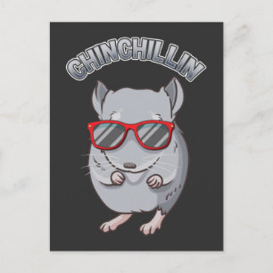 Cute Rodent Chinchilla with Sunglasses Postcard