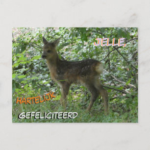 Cute Roe Deer in the Forrest Birthday Postcard