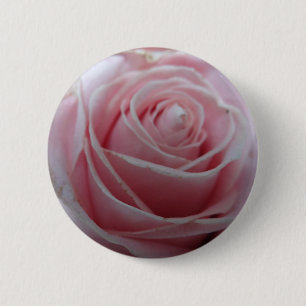 Cute Rose Flower 6 Cm Round Badge