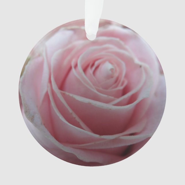 Cute Rose Flower Ornament (Front)