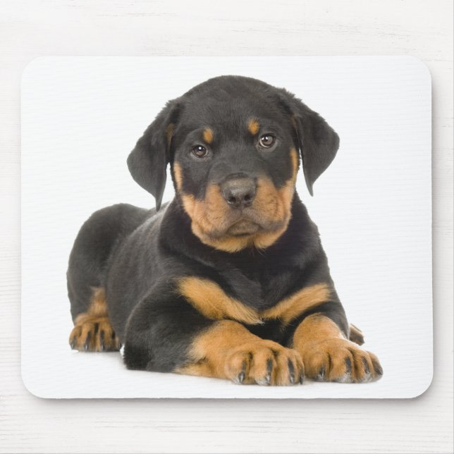 Cute Rottie Puppy Dog Gift Rottweiler Mouse Pad (Front)