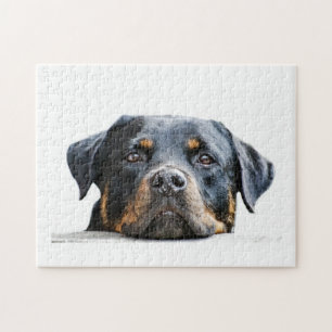 Cute Rottweiler Dog Breed Face Jigsaw Puzzle