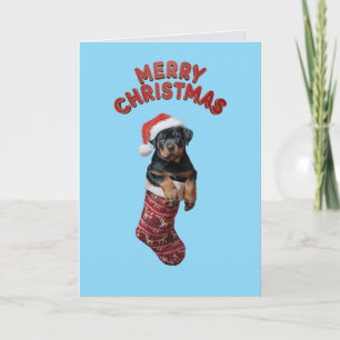 Cute Rottweiler Dog Christmas Card