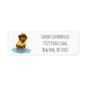 Cute Rottweiler Dog Wearing Raincoat